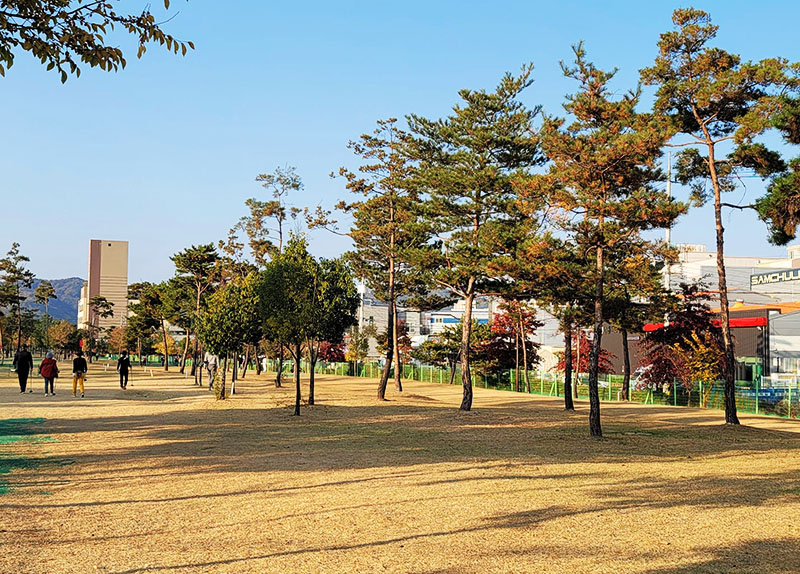 세천공단파크골프장 (세천파크골프장, 성서5차 파크골프장) 대구 달성군 다사읍 세천리 1691