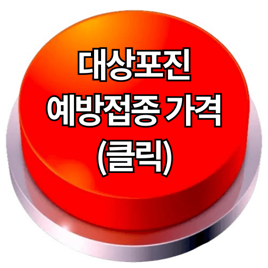 대상포진 예방접종
