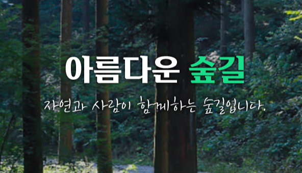 숲길 예약