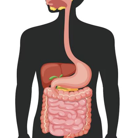 왼쪽 아랫배 통증