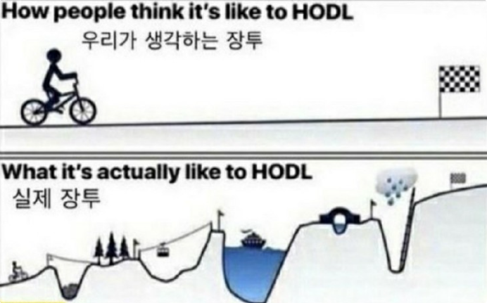장기투자