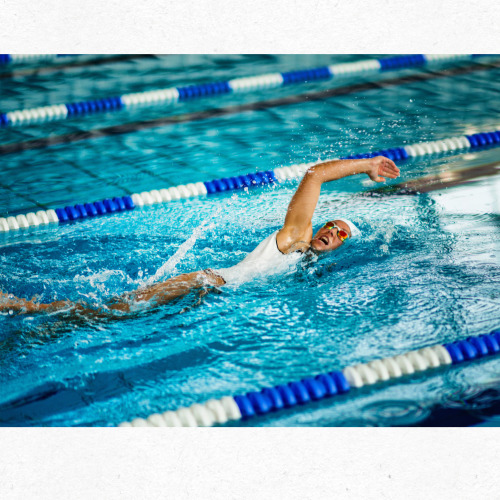 혈압에 좋은 채소 식단