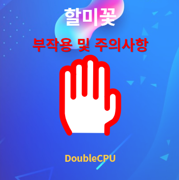 할미꽃 부작용 및 주의사항