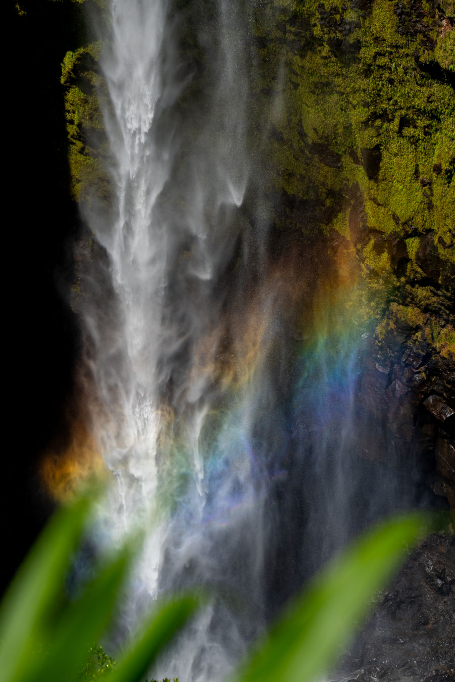 하와이 힐로 아카카 폭포