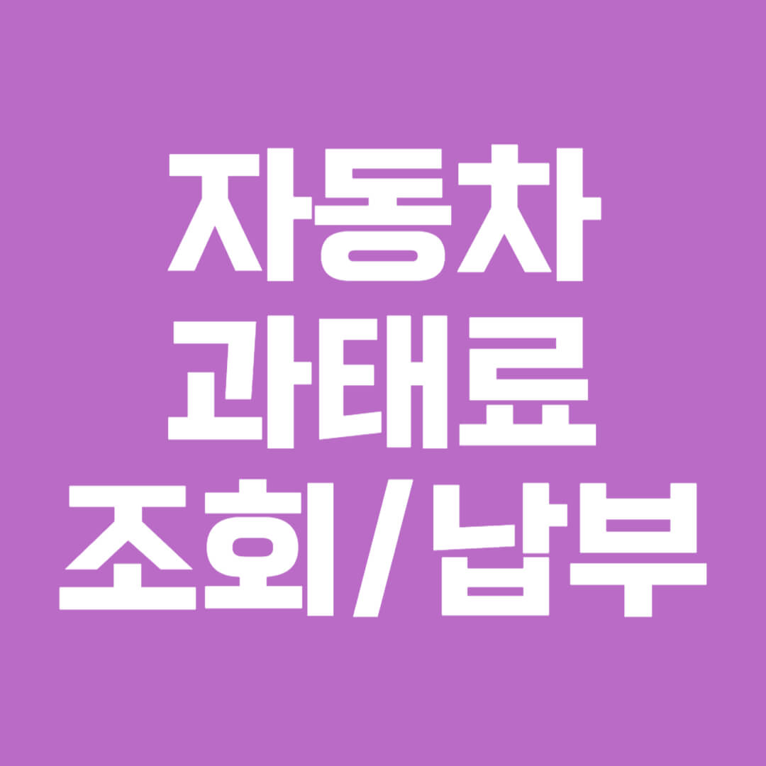 자동차 과태료 조회