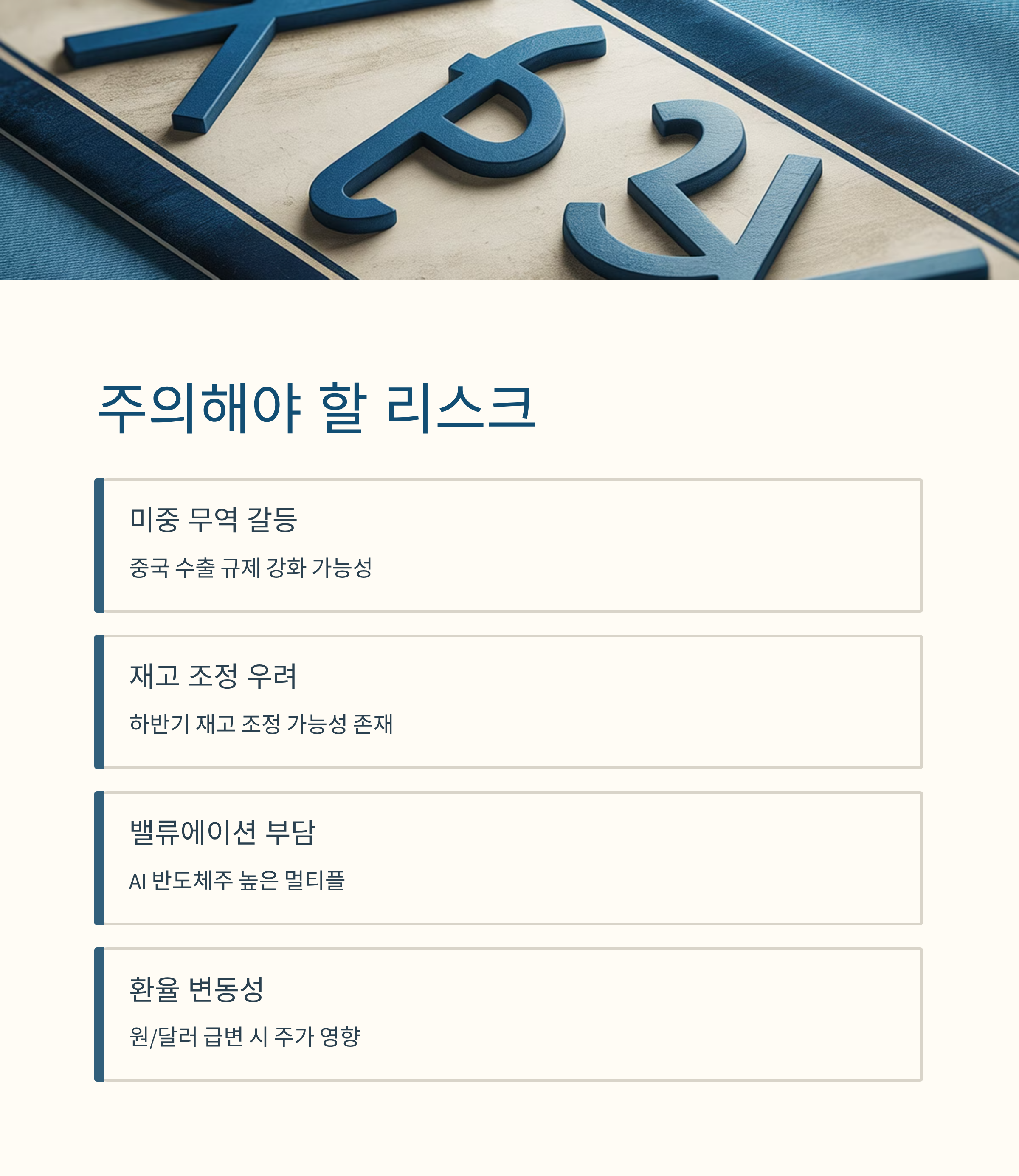 2025 반도체 주의해야할 리스크