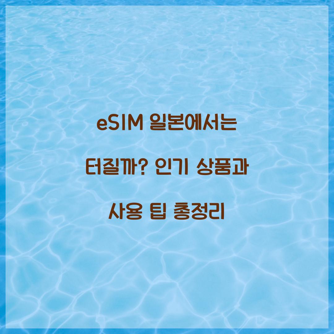 eSIM 일본에서는 터질까