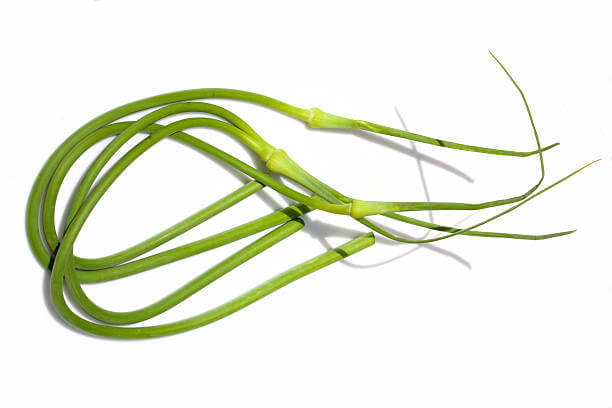 마늘쫑 효능&amp;#44; 나오는 시기와 부작용에 대해 알아봤습니다. 마늘쫑은 그 풍부한 영양소와 미생물을 통해 건강에 많은 이점을 제공하는 것으로 알려져 있으며&amp;#44; 신뢰할 수 있는 연구들이 그 효능을 뒷받침하고 있습니다. 어떤 효능이 있는지 참고해주세요!