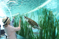 국립해양박물관