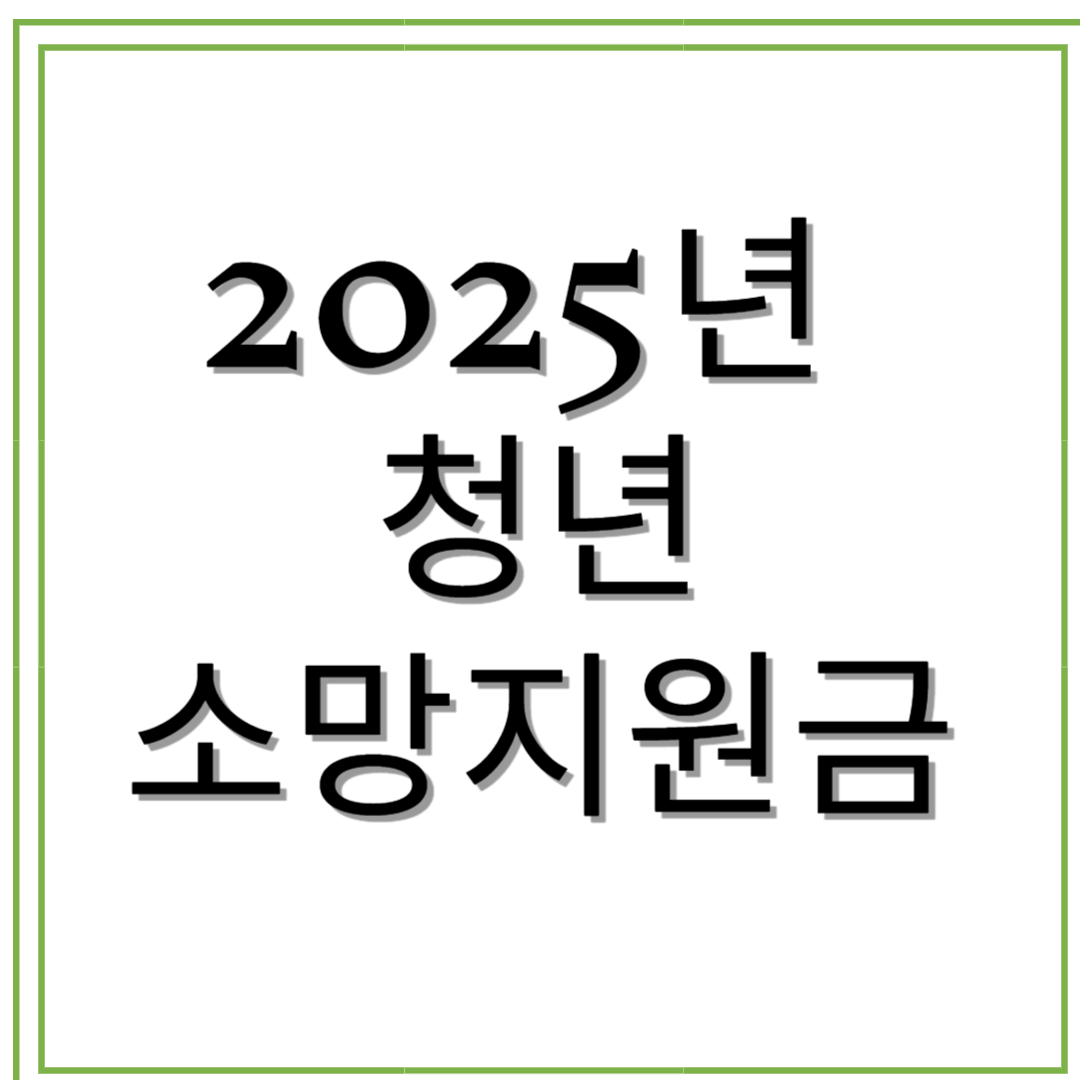 2025년 청년소망지원금