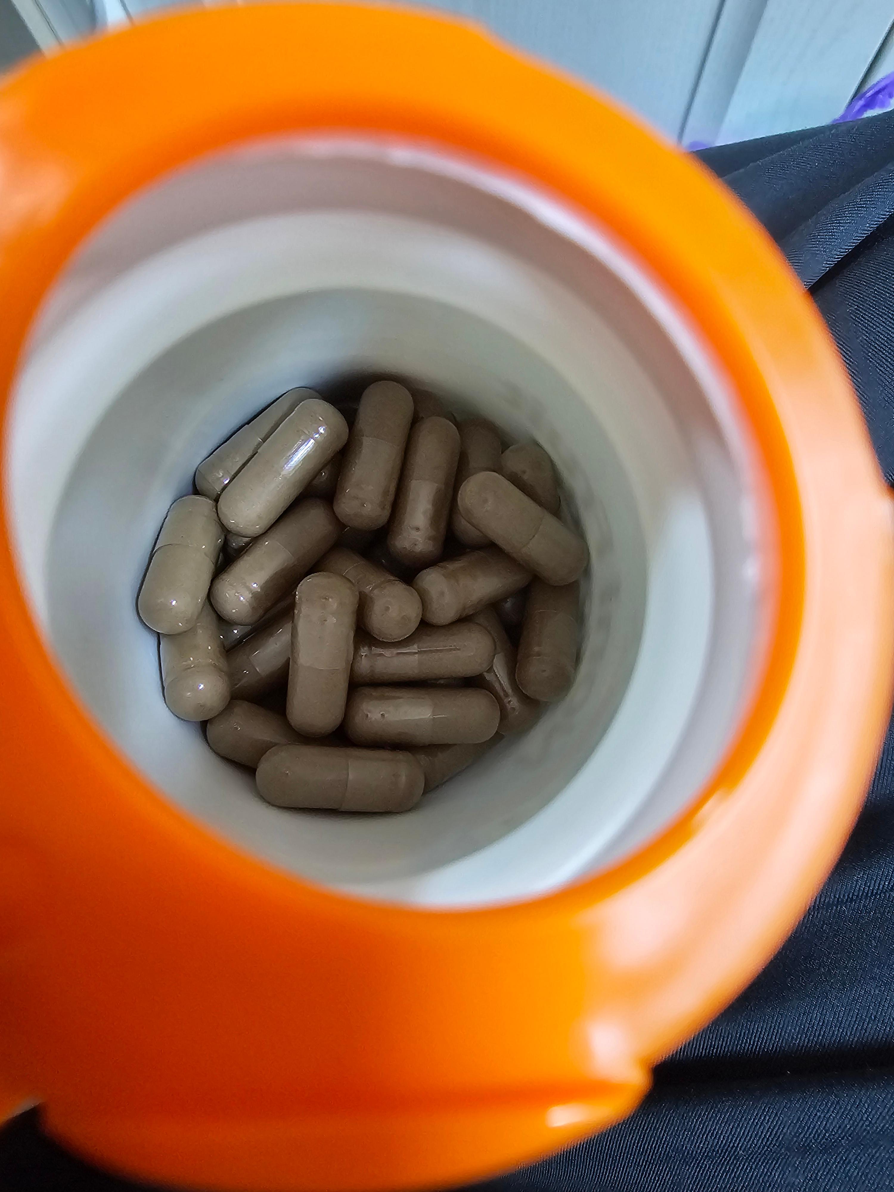 닥터스베스트 노니 프룻 파우더