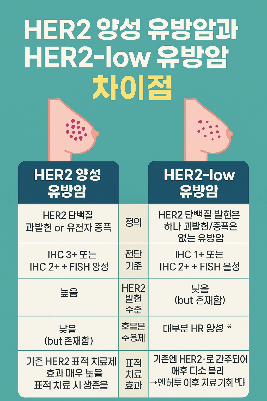 HER2 전이성 유방암 표적 치료제 발전과 효과 관련 이미지