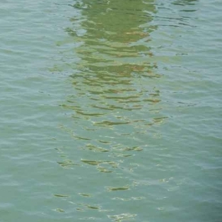 경기도 화성 뱃놀이 축제