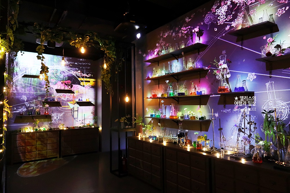 플라워바이네이키드 홍대 놀거리 입장료 23% 할인예매방법, 즐기는 꿀팁 네가지