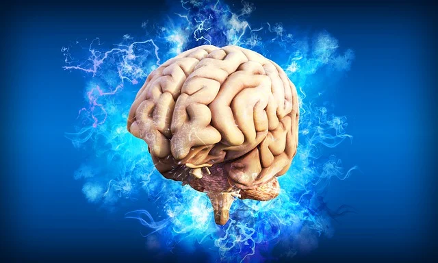 경계선지능&amp;#44; 경계성지능장애&amp;#44; 경계선지능장애 이해와 자가진단&amp;#44; 치료방법