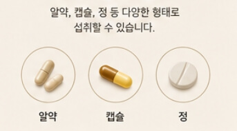 밀크씨슬 효과와 복용법