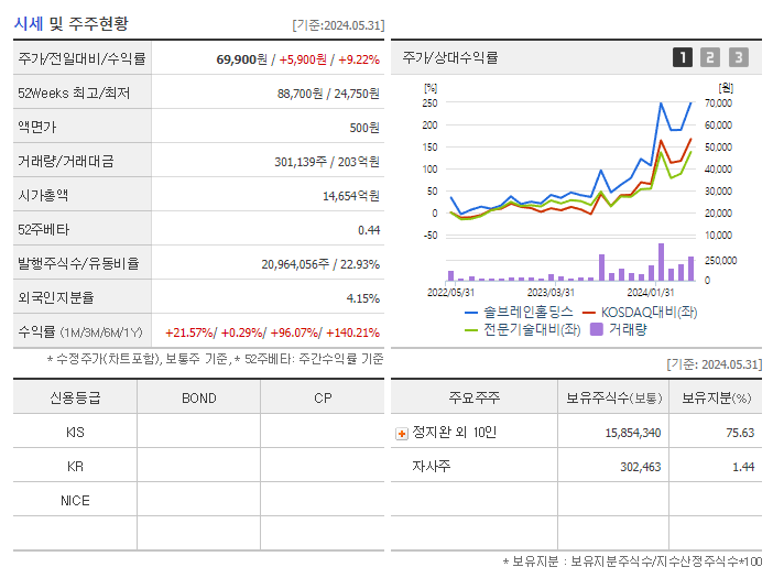 솔브레인홀딩스_기업개요