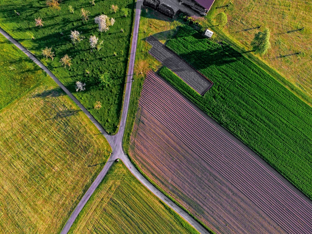 농지 (farmland)