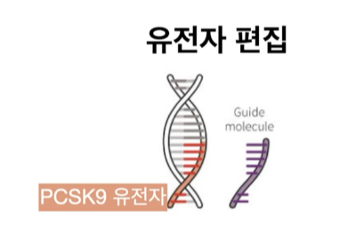PCSK9 유전자 편집 과정