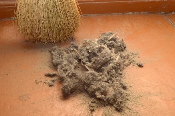 진드기, 세균, 곰팡이는 서로 어떤 관계일까? — 공생과 경쟁의 마이크로 생태계