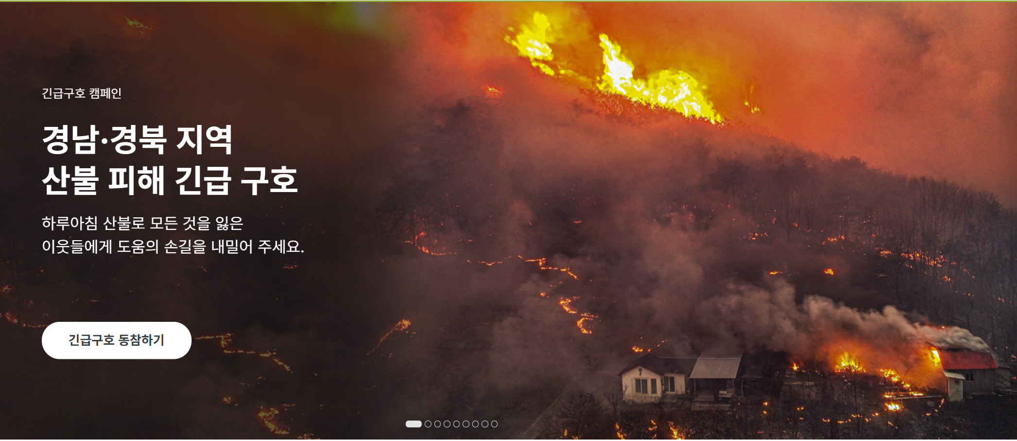 굿네이버스 카카오같이가치