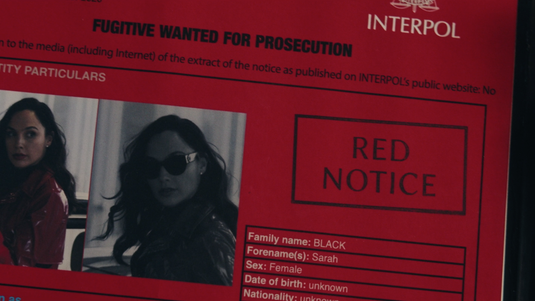 적색 수배령이 떨어진 그들