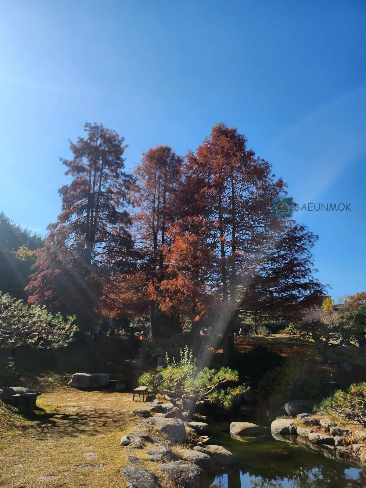 오산-물향기-수목원-단풍-2