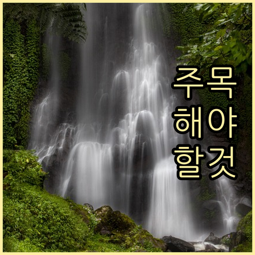 이것만 알면 끝 보광동 쓰레기 배출 ..