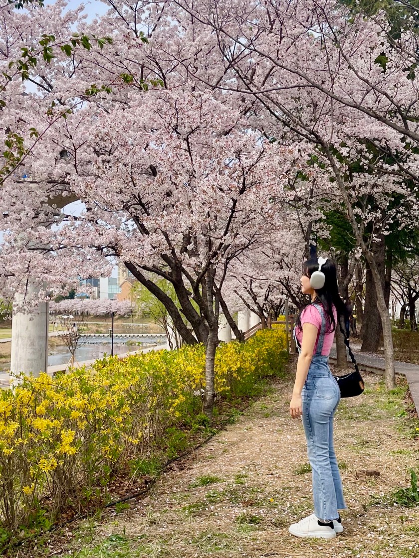 봄에 듣기 좋은 봄 노래 듣는 중