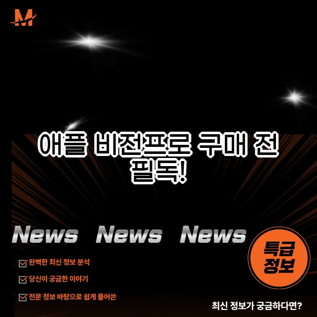 비전프로 구매 전 필독! 가격, 무게