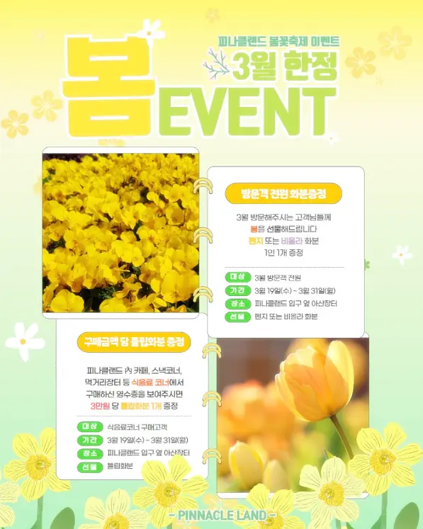 3월 한정 피나클랜드 봄 이벤트 홍보사진