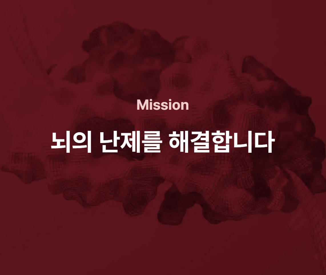 뉴로핏 공모주