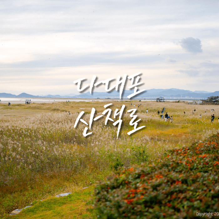 부산 다대포 해수욕장 가을의 모습