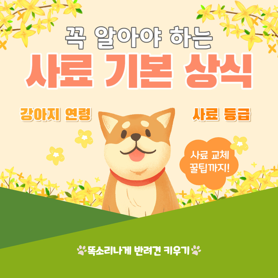 강아지 사료 등급