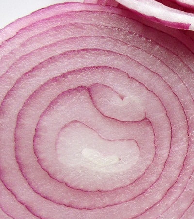 양파 효능 사진31