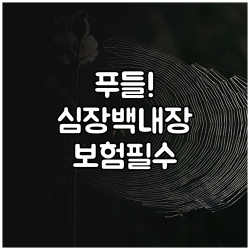 푸들 심장 질환 백내장 보장 반려견 ..