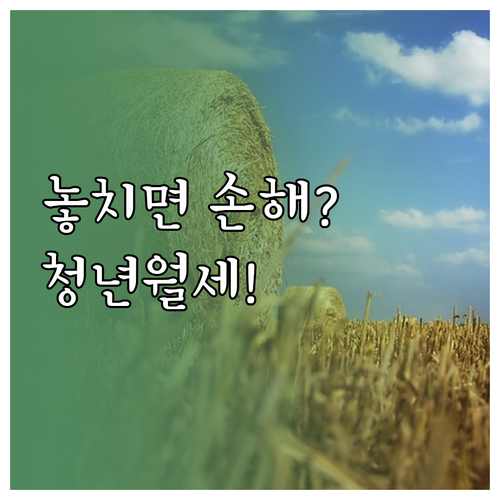 상주시 청년월세지원 놓치면 후회하는 ..