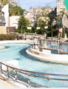 캐리비안베이 입장료, 할인 방법 (50%)