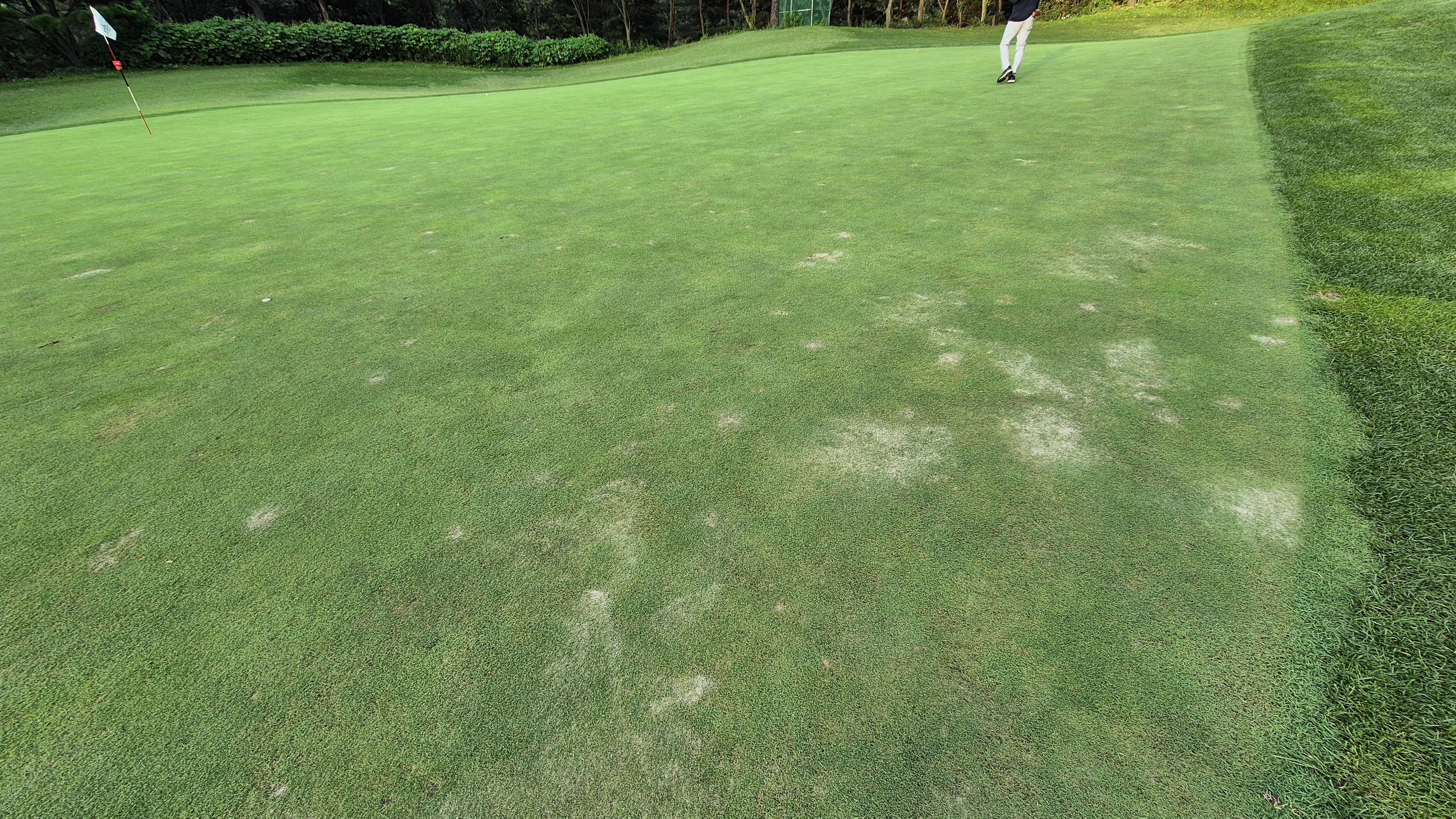 마론cc 라운드 후기