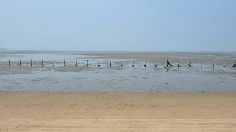 겨울방학 국내 여행지- 파란하는 물빠진 바다 앞 그물쳐진 이미지
