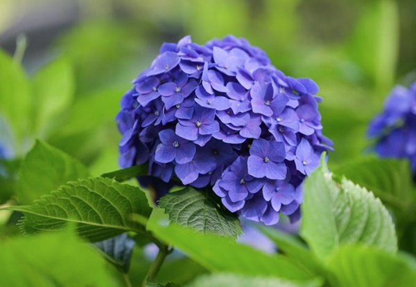 고성 가볼만한곳