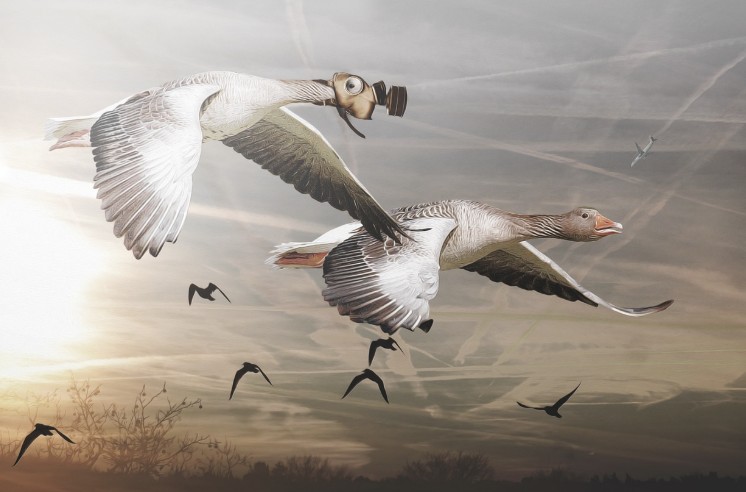 (스트레스와 환경오염, 탈모의 진짜 원인) 에 관련 사진