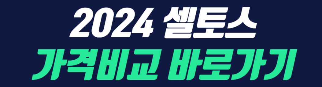 2024-셀토스-가격비교