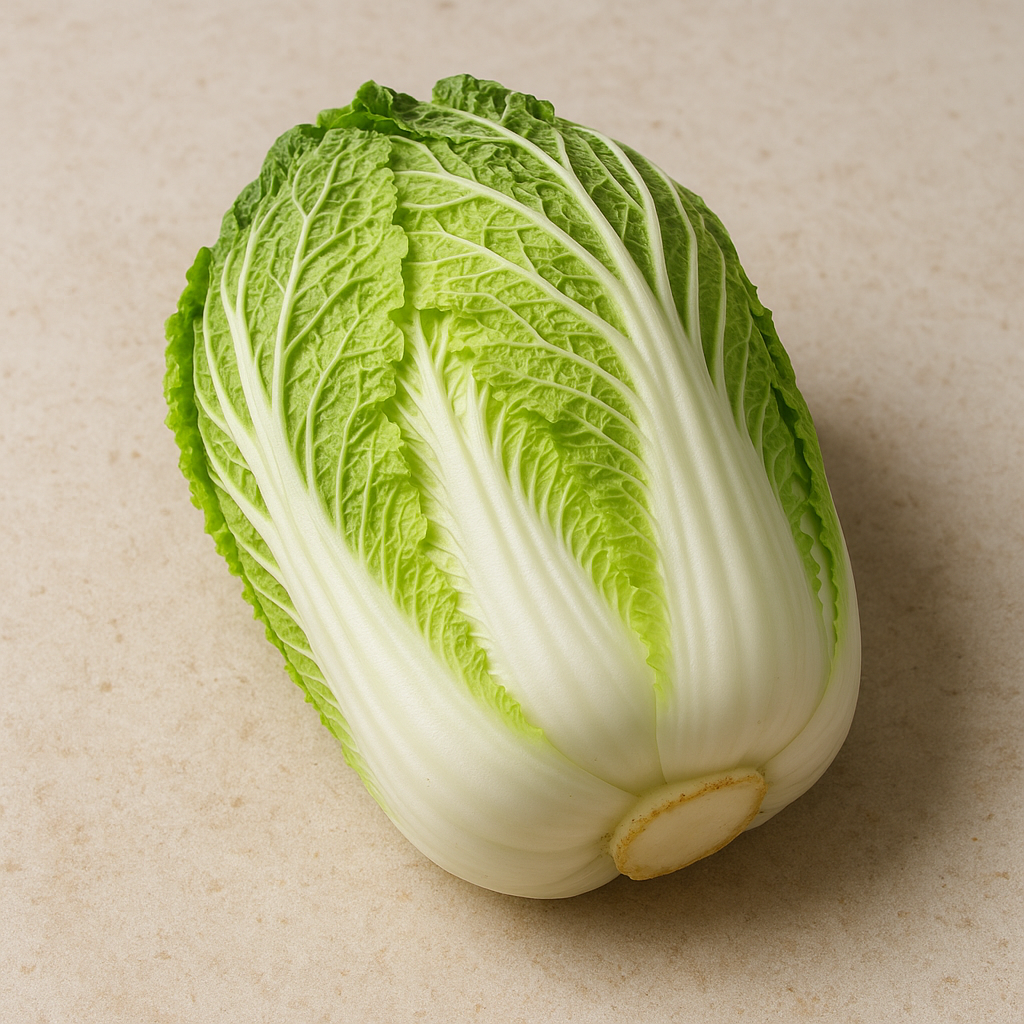 김장배추 모종 심는 시기 파종(+재배 방법 요령 정리)