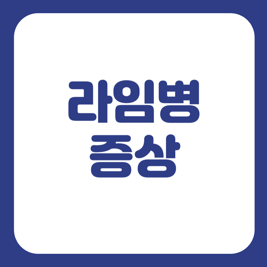 라임병 기본정보