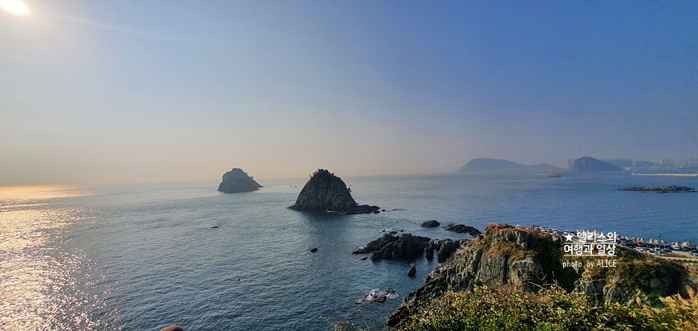 부산시티투어버스 모든 것: 요금, 할인, 코스, 시간표, 출발장소, 추천장소