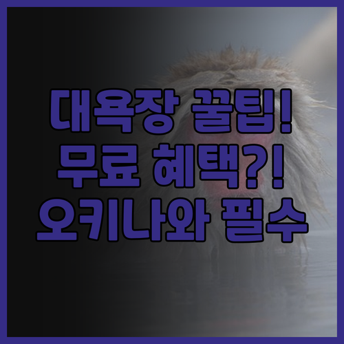 미유키 하마바루 리조트 추천 무료 혜..