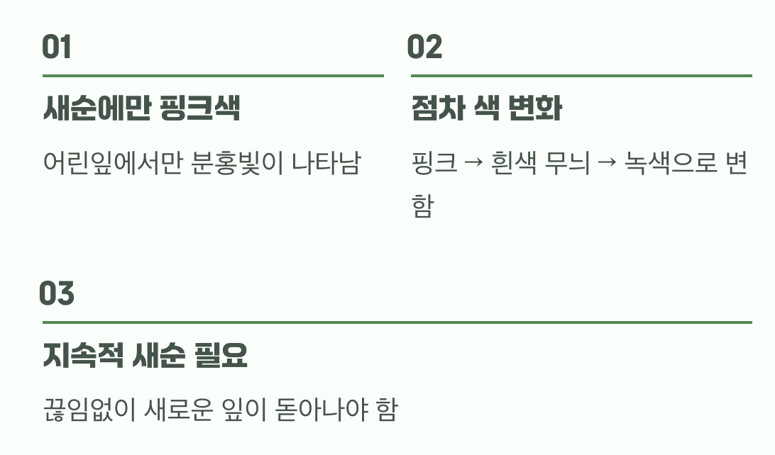 가장 중요한 비밀&amp;#44; &amp;#39;새순&amp;#39;에만 깃드는 마법