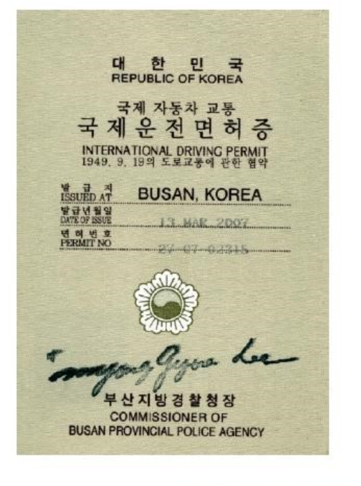 [국제면허증 발급방법] 온라인 신청 / 사진규격 / 가능나라 (2024최신)