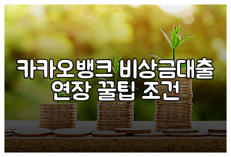 카카오뱅크 비상금대출 연장 꿀팁 조건